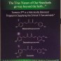 Nature's Answer Turmeric-3 90-Count
