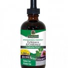 Nature's Answer Alcohol-Free Echinacea and Goldenseal 4-Fluid Ounces