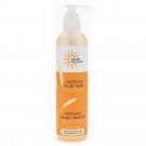 Earth Science Clarifying Facial Wash 8 Ounce original