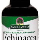 Nature's Answer Alcohol-Free Echinacea 1-Fluid Ounce