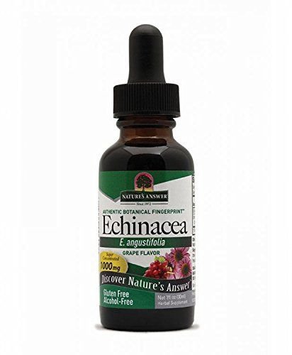 Nature's Answer Alcohol-Free Echinacea with Natural Grape Flavor 1-Fluid Ounce