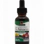 Nature's Answer Alcohol-Free Echinacea with Natural Grape Flavor 1-Fluid Ounce