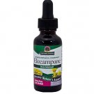Nature's Answer Elecampane Root with Organic Alcohol 1-Fluid Ounce