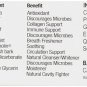 Nature's Answer PerioBrite Toothpaste Cinnamint 4-Ounces Cinamint 1 Count