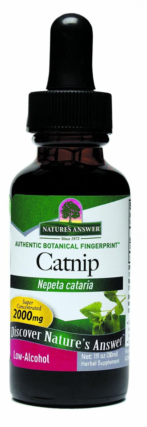 Nature's Answer Catnip Herb with Organic Alcohol 1-Fluid Ounce