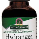 Nature's Answer Hydrangea Root with Organic Alcohol 1-Fluid Ounce