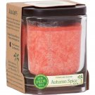 Palm Wax Candle Autumn Spice Burnt Orange Aloha Bay 8 oz Glass Jar