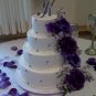 Monogram Cake Topper & Cake Knife & Server Set Package
