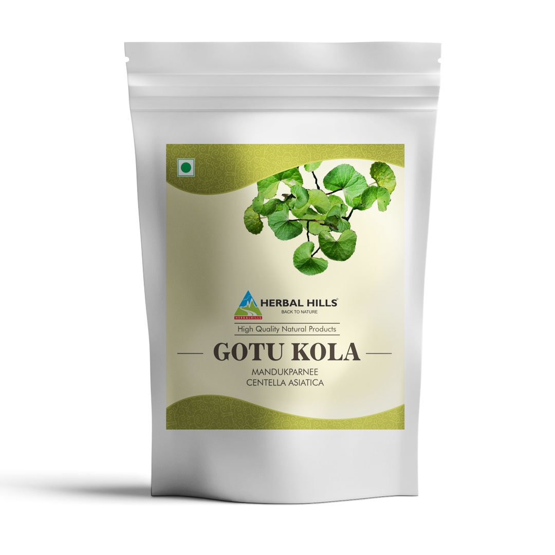 Herbal Hills Gotu Kola Powder 454gms Pack / 16oz Mandukparni Centella asiatica