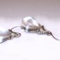 Clear Glass Teardrop Briolette Earrings