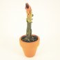 Miniature Triffid Plant Dollhouse Mad Science D149 1:12 Scale Model Spooky Weird Halloween Horror