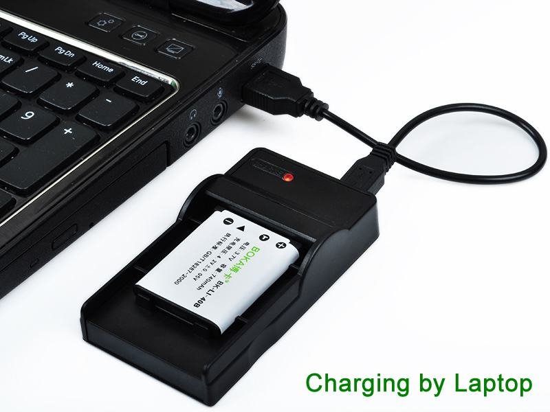 Battery Charger for Canon PowerShot ELPH 135 160 180 340HS 350HS 115IS