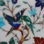 10" White Marble Round Plate Rare Pietradure Inlay Mosaic Work Stone Art Decor