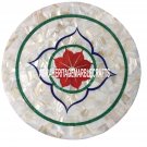 White Marble Coffee Table Top SeaShell Stone Inlay Marquetry Hallway Decor H3502