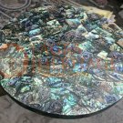 10"x10" Marble Coffee Table Top Stunning Inlay Abalone Stone Garden Decor 10"x10" Marble Coffee Table Top Stunning Inlay Abalone Stone Garden Decor