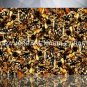 4'x2' Marble Dining Table Top Chocolate Quartz Backlit Art Hallway Decor E206