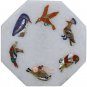 6"x6" White Marble Wall Decor Tile Multi Stone Birds Design Living Room Decor