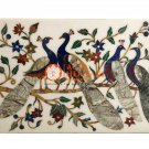 18"x26" White Marble Coffee Table Top Peacock Marquetry Inlay Outdoor Decor E533