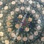 36" Green Marble Dining Table Top Mother of Pearl Multi Pietra Dura Decor H5368A
