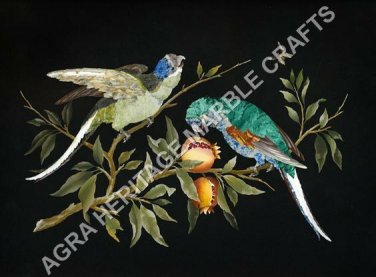 4'x2' Marvelous Marble Dining Center Top Inlay Marquetry Bird Design Decor H5056