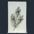 4'x2' White Marble Dining Table Top Inlay Stone Peacock Feather Arts Decor E1337