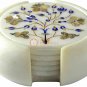 White Marble Coffee Coaster Set Inlay Stone Lapis Paua Shell Floral Art E1942