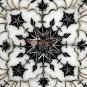 12"x12" Marble White Decorative Wall tile Inlay Black z Floral Design Home Decor