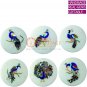 White Cup Coffee Coaster Set Lapis Peacock Semi Precious Art Columbus Gift E2229