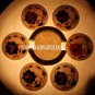 Marble Coffee Tea Coaster Set Semi Precious Multi Floral Inlay Housewarming Gift