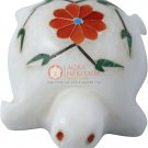 2" Marble White Tortoise Sculpture Carnelian Pietradura Floral Art Columbus Gift