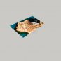 Green Resin River Wooden Epoxy Live Edge Designer Center Office Table Interior
