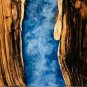 Epoxy Table, dining, sofa, center table top Live Edge Walnut Epoxy Blue Table