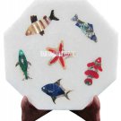 6" Marble Tile Rare Marquetry Star Fish Design Inlay Veterans Day Decorative