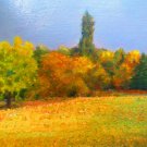 Oil Painting—Meadow—Fine Art Oil Painting-Size: 14" x  14" (35 cm x 35 cm)