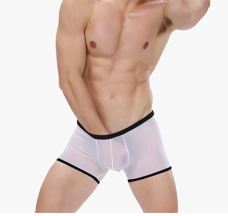 White Men's sexy undewear mesh gauze transparent boxer briefs underpants #BD117
