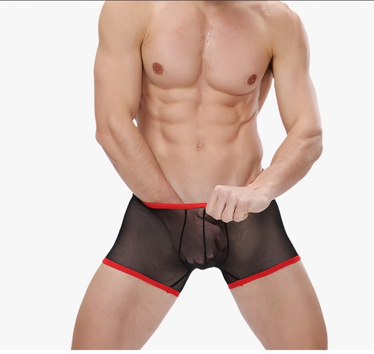 Black Men's sexy undewear mesh gauze transparent boxer briefs underpants #BD117