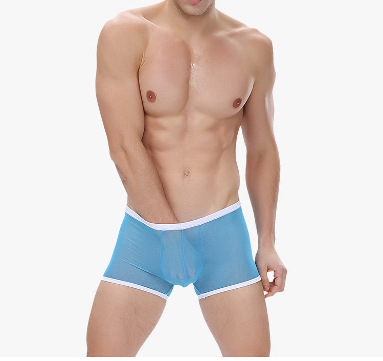 Blue Men's sexy undewear mesh gauze transparent boxer briefs underpants #BD117
