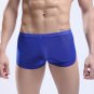 Blue Men's sexy underwear transparent mesh gauze breathable boxer briefs #M14-3