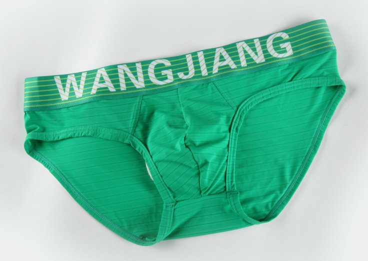 #5004SJ Green wangjiang Men's sexy underwear translucent briefs underpants panties cuecas