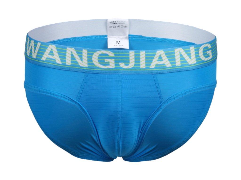 #5004SJ Blue wangjiang Men's sexy underwear translucent briefs ...