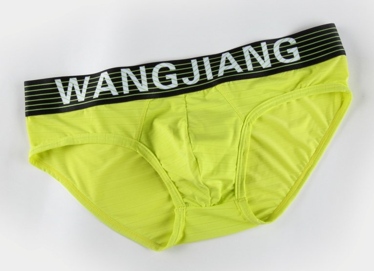 #5004SJ Light green wangjiang Men's sexy underwear translucent briefs underpants panties cuecas