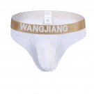 White Men's sexy underwear 3pcs ice silky thong g-string t-string #5008DK