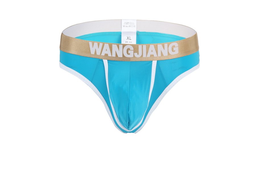 #5008DK Blue Men's sexy underwear Wangjiang ice silky pouch underpants thongs g-string t-strings