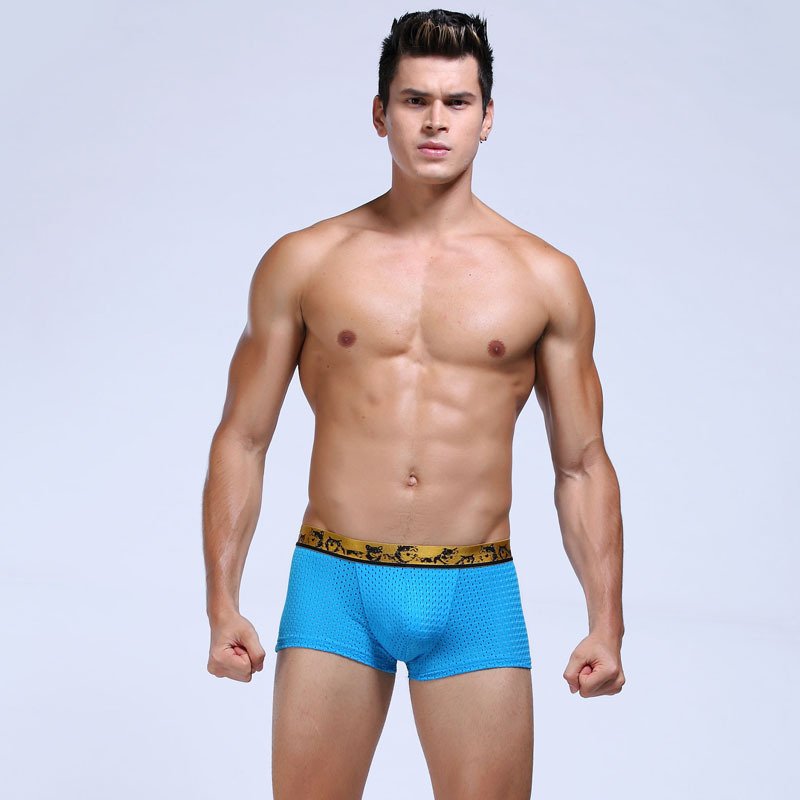 #3016PJ Blue Men's sexy underwear Wangjiang mesh perforated boxer briefs underpants