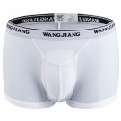 White Men's sexy underwear mesh guaze boxer briefs underpants #5001PJ