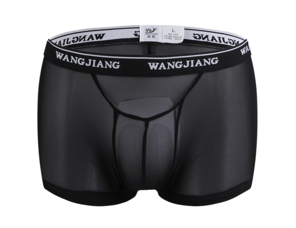 Black Men's sexy underwear mesh guaze boxer briefs underpants #5001PJ