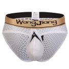 Wangjiang men's sexy underwear mesh holes see-through cut-out briefs White #2025SJ