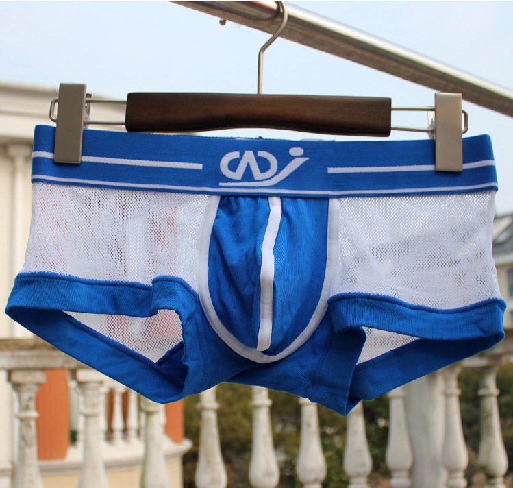 White 3pcs Men's sexy underwear mesh gauze boxer briefs 2017PJ