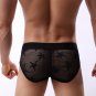 Men's sexy underpants lingerie 2pcs mesh perforated holes briefs underwear panties #F1004