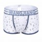 Sexy men's underpants underwear lingerie cotton Snowflakes graphic printed pouch boxers #5005PJ
